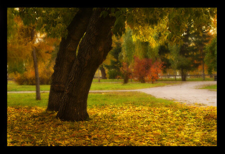 опять осень