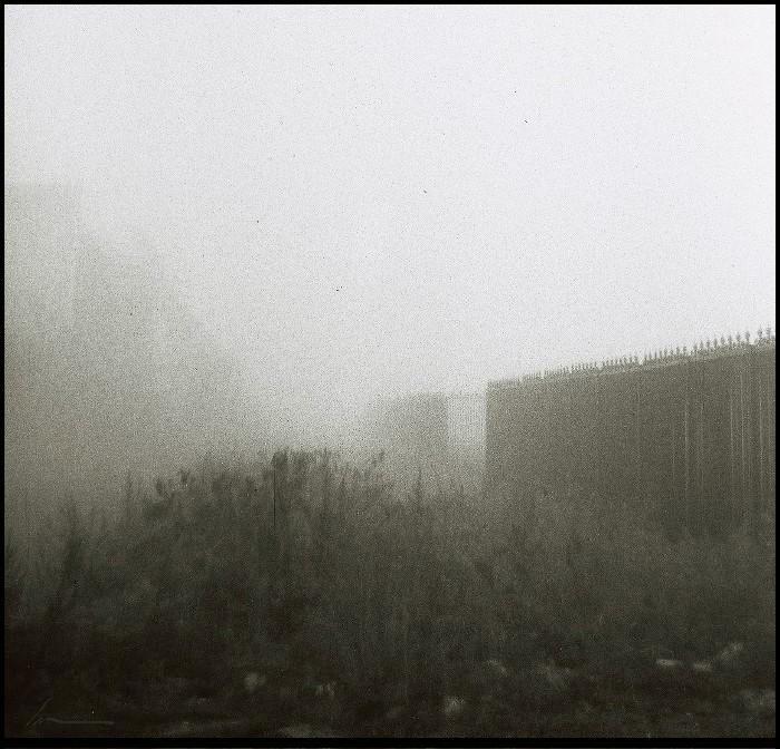 _