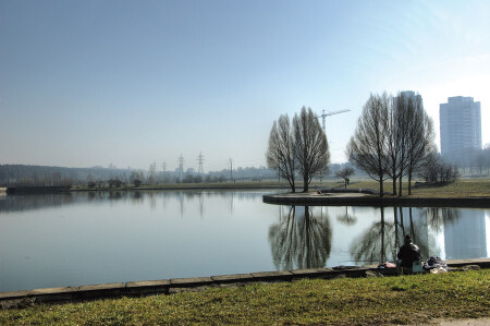 Рыбное время