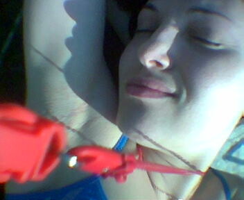 Мечта поэта