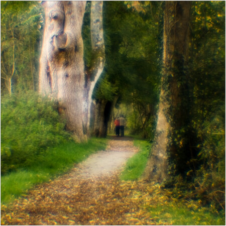 Осень на Lough Gur