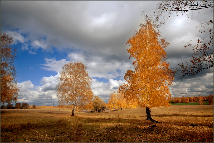 Рисовало солнце осень