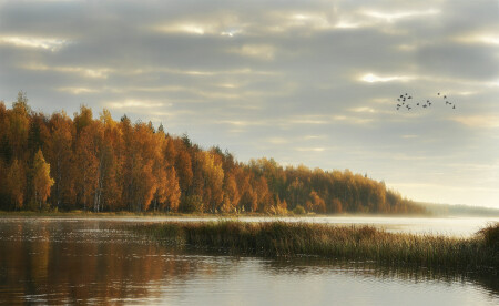 Река Вожма.