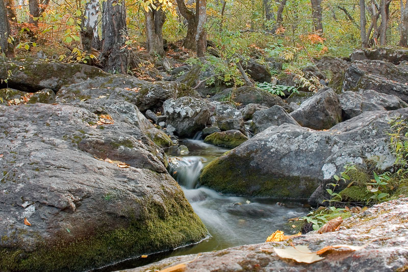 Между камней.