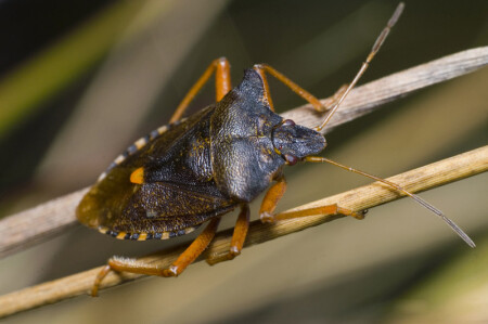 ..в кожаном пальто..