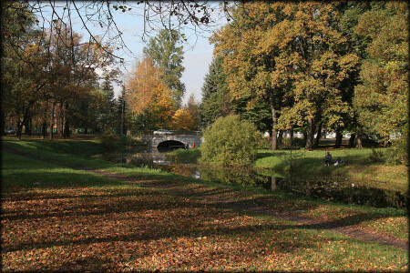 Осенняя рыбалка в парке
