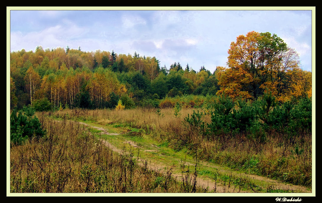 Краски осени