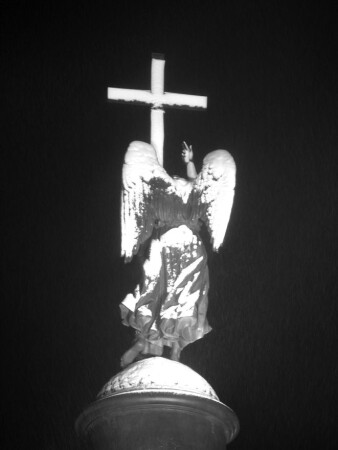  Winter angel of Petersburg