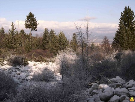 Начнется и кончится зима