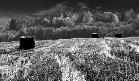 Rolling Rolls in B&W