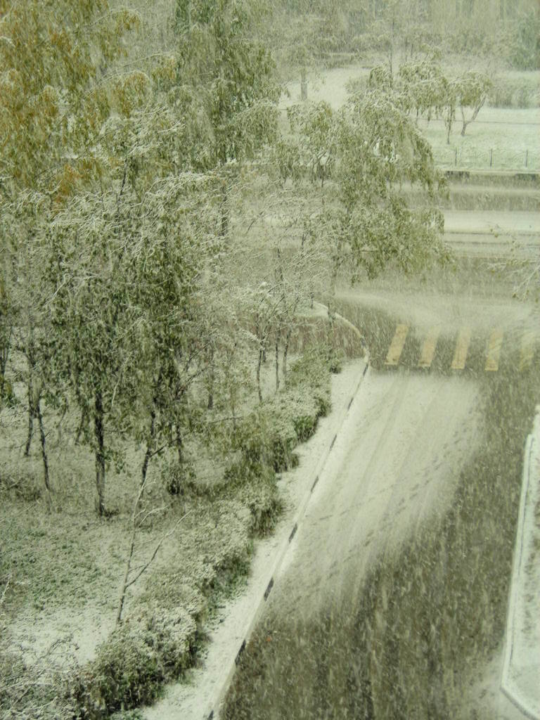 ранняя зима....