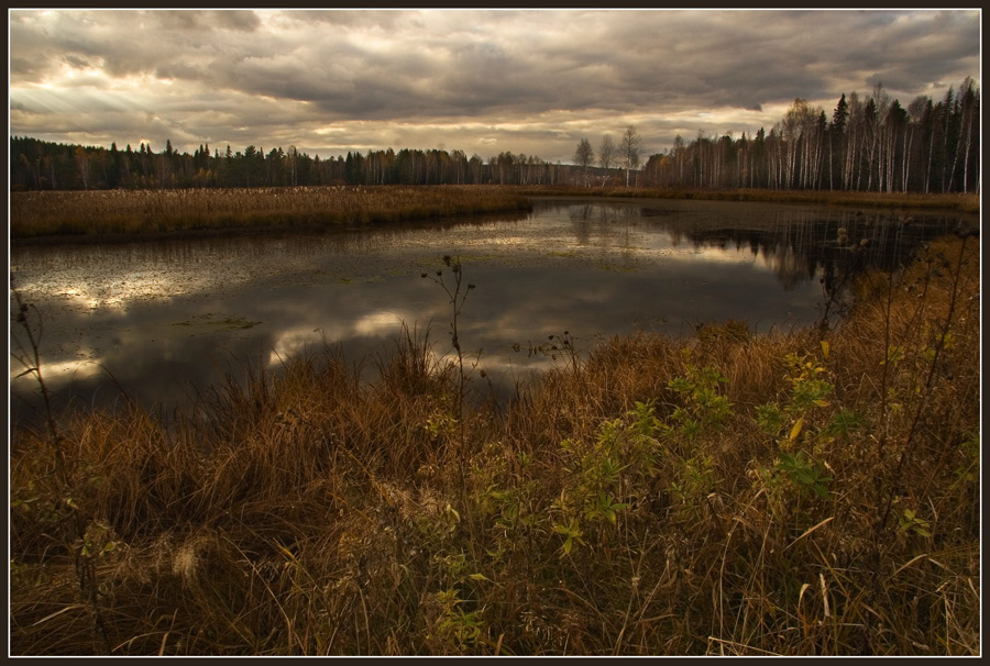 осеннии мотивы