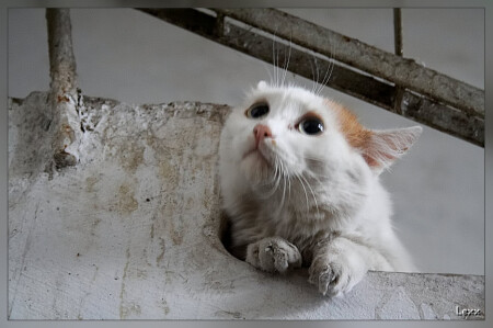 Брошенная :(((