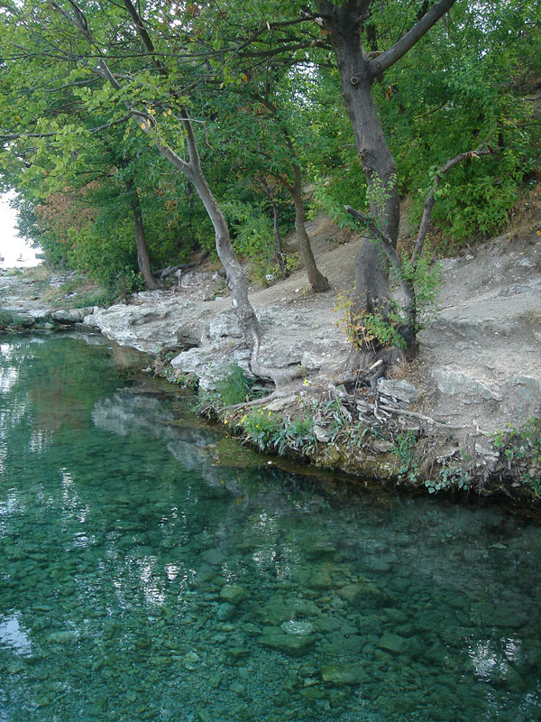 Родник