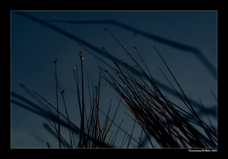 стать травой ] ]