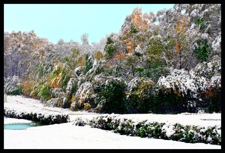 расписало белым