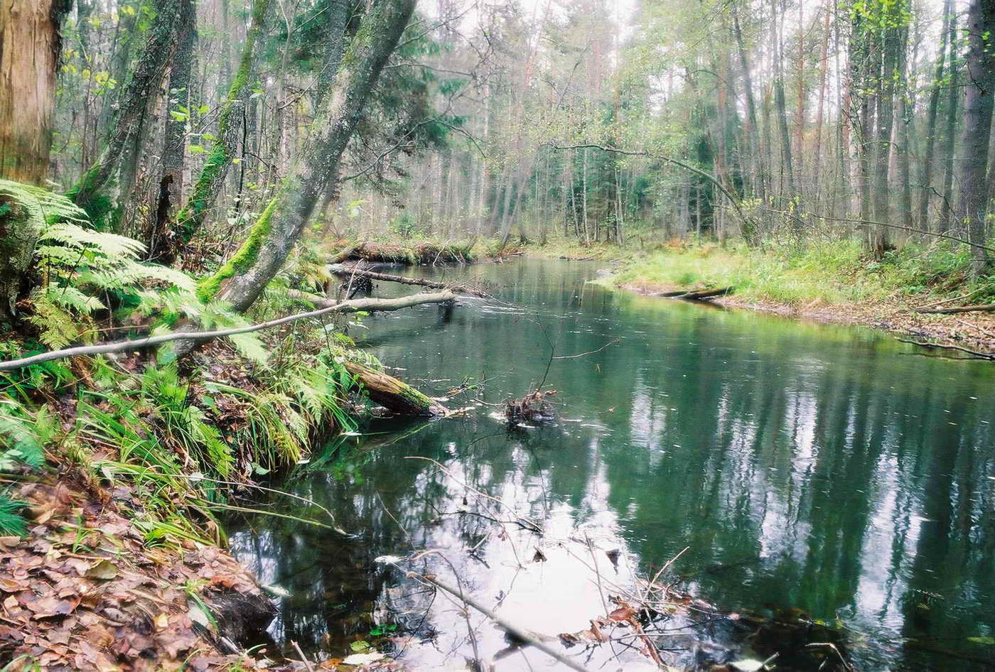 Осень.Затерянная в лесах