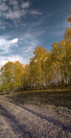 Осеннее, вертикальное.