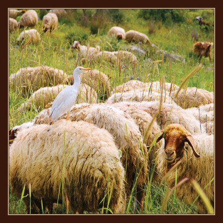 Анфас и профиль.