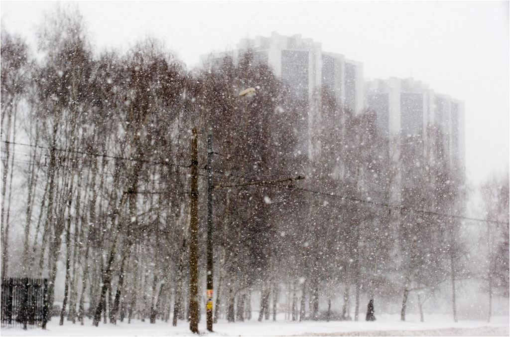 снег