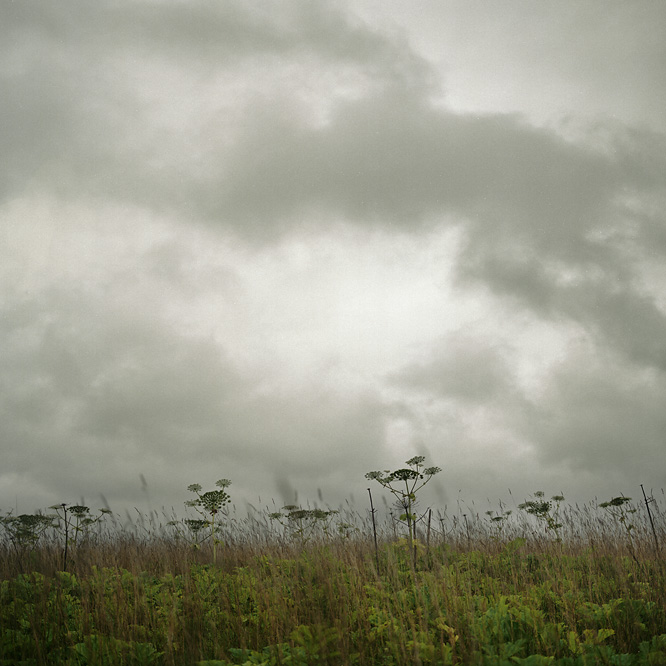 rainy season