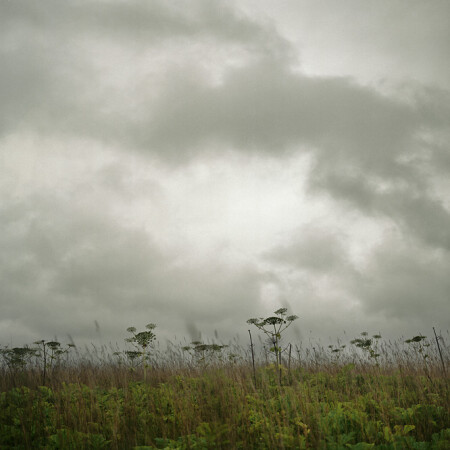 rainy season