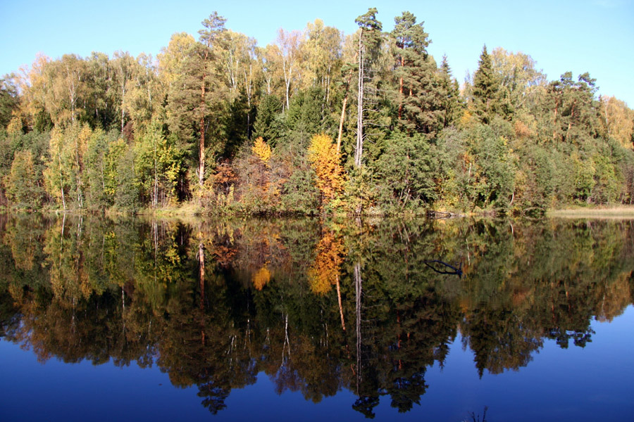 золотая осень