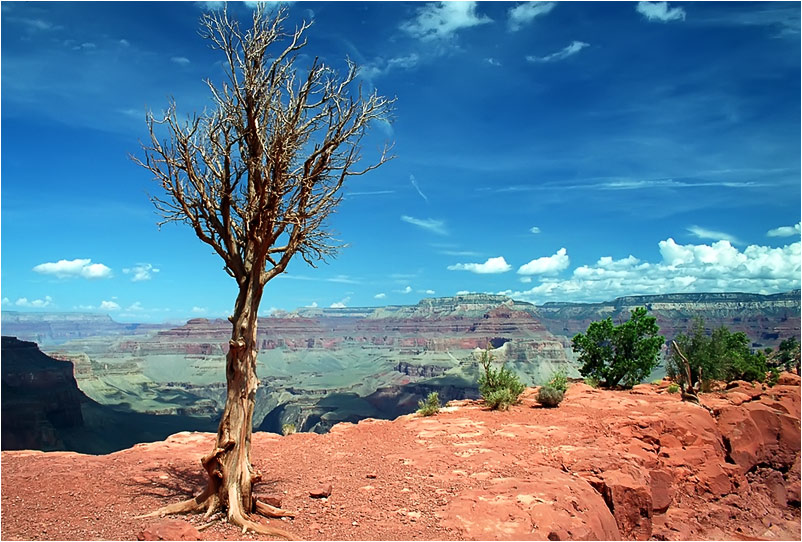 grand canyon