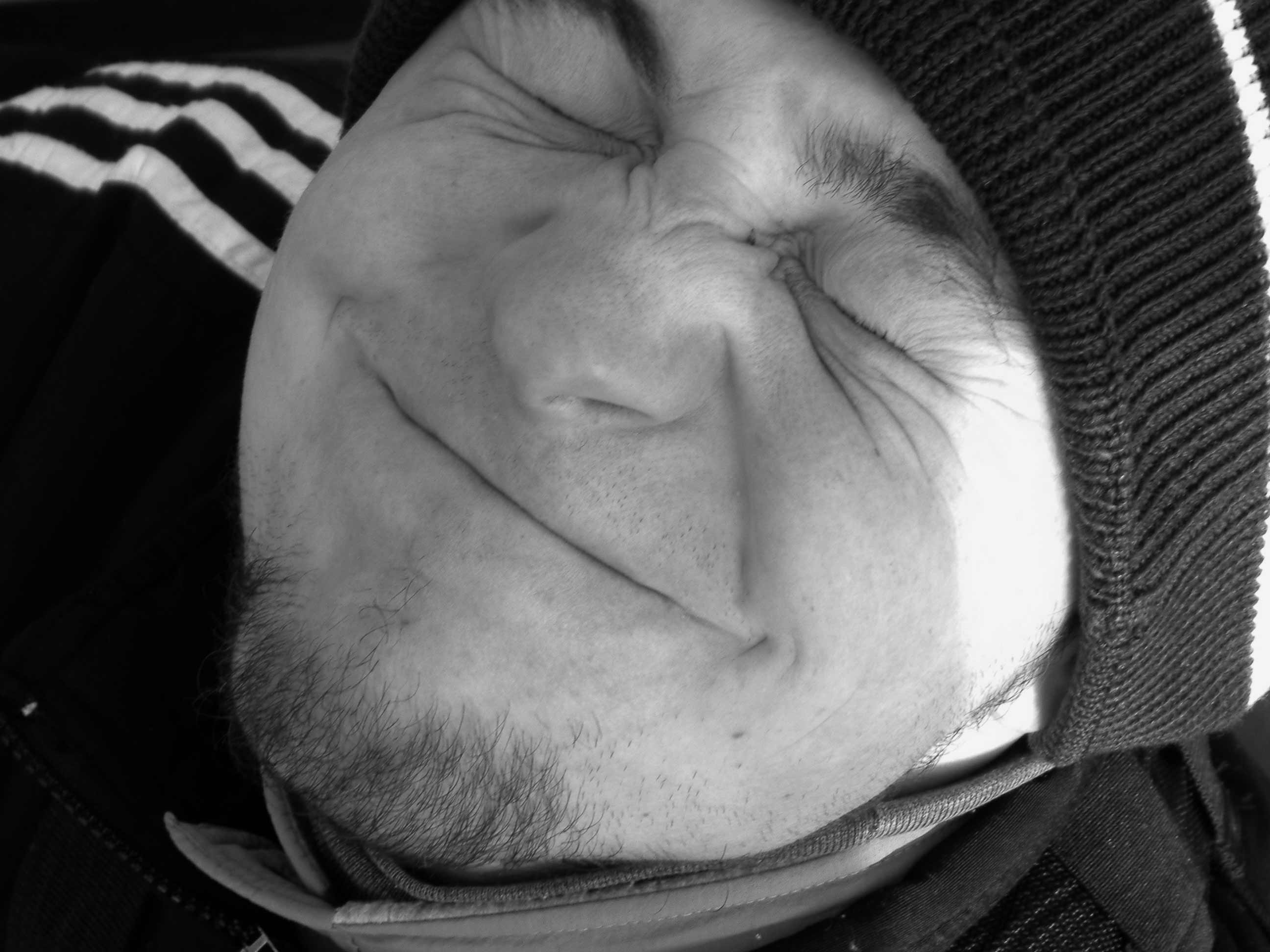 Медвед