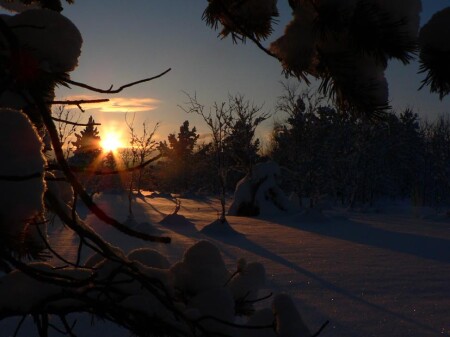 без названия