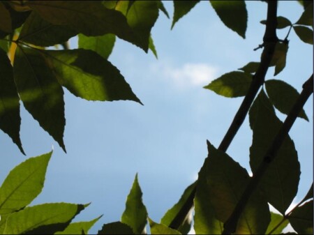 кусочек неба