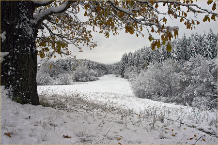 Последний оплот осени