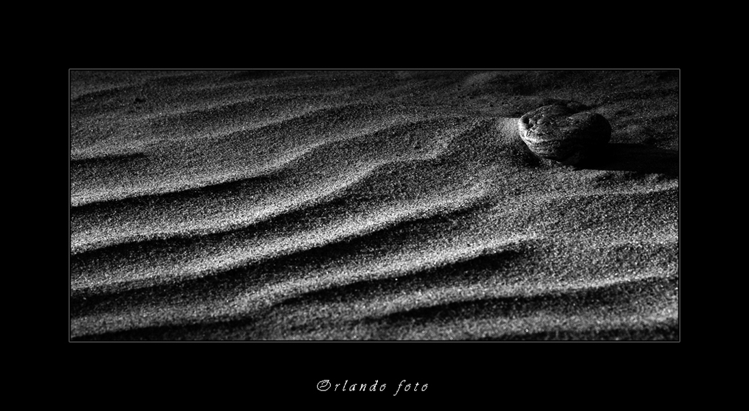 In shore