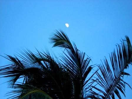 Moon