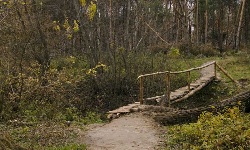 Мостик в лесу