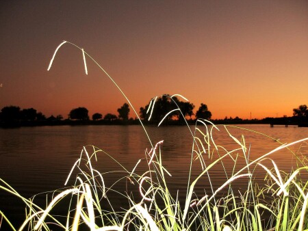 Вечерний пруд