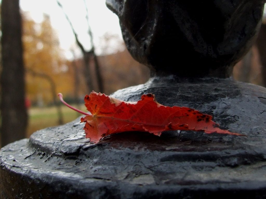 fall