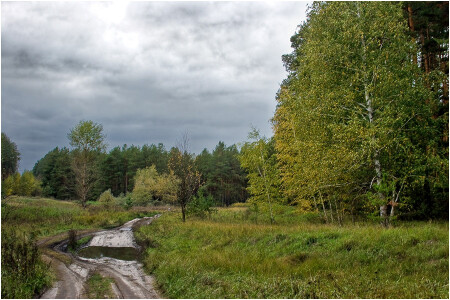 Лесодороги