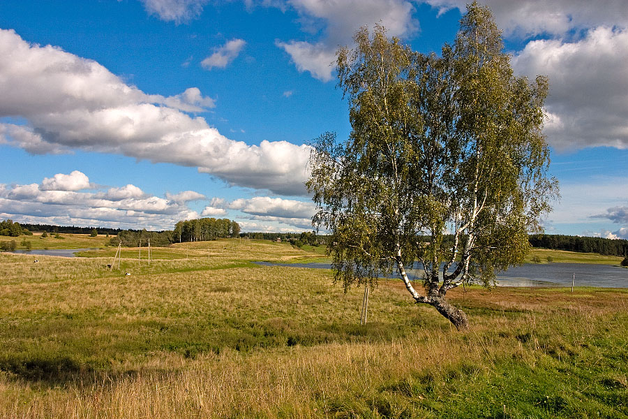 В краю Тверском.