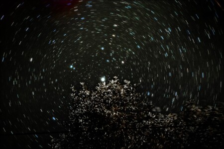 Холодный свет