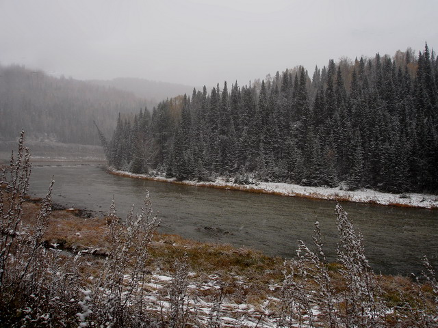 Морозно