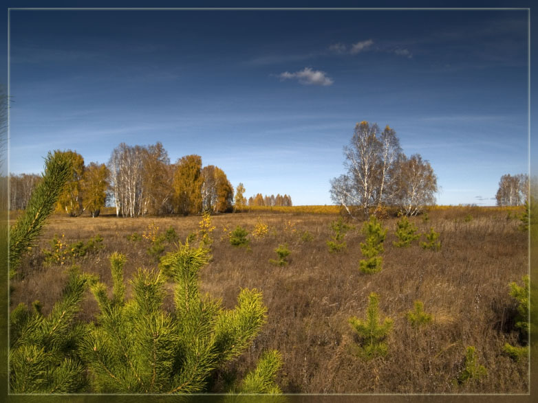 Осенняя открытка