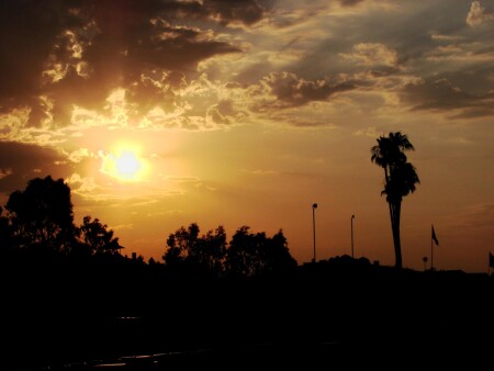 Солнце, пальмы, пляж - утро в Турции