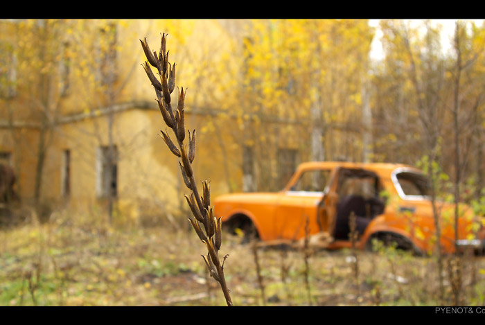 Осенний блюз...