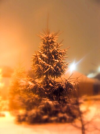 Ёлка из детства