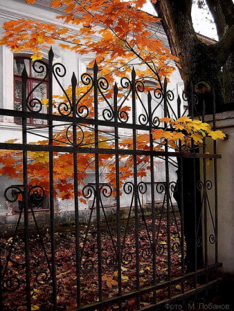 Краски осени