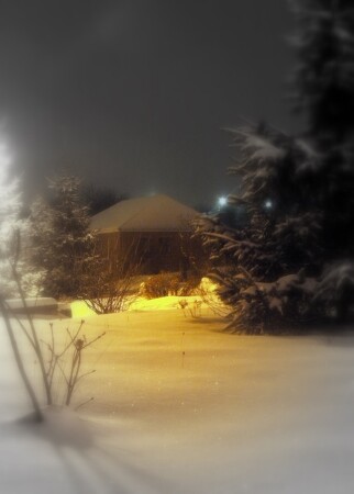 Ёлка. Опять :)