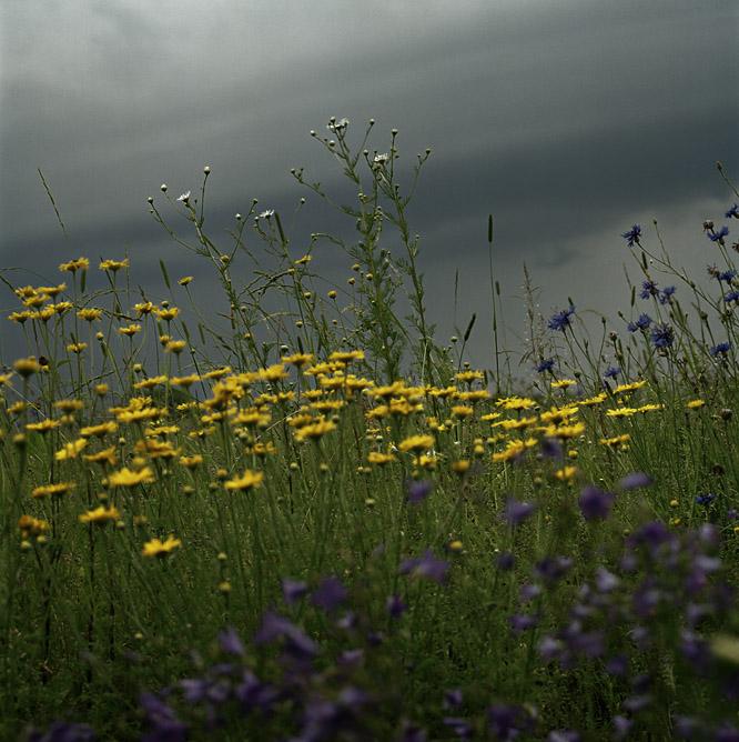when storm is close