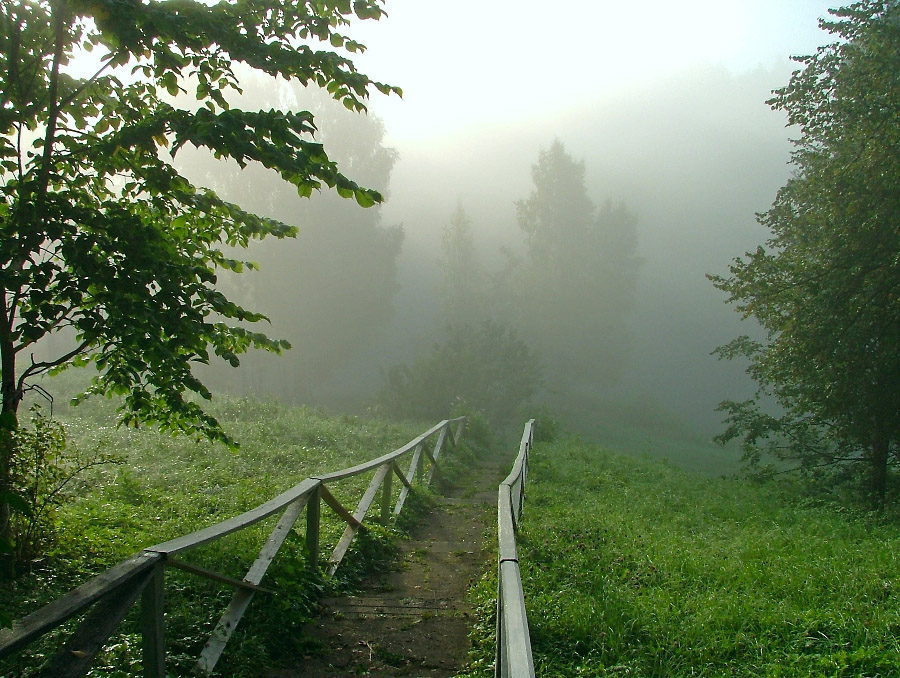 Лестница в туман