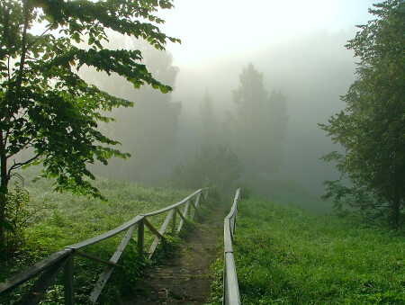 Лестница в туман